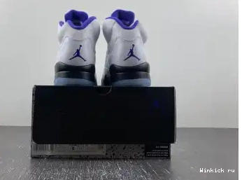Retro Jordan Dark 5 Concord 0505
